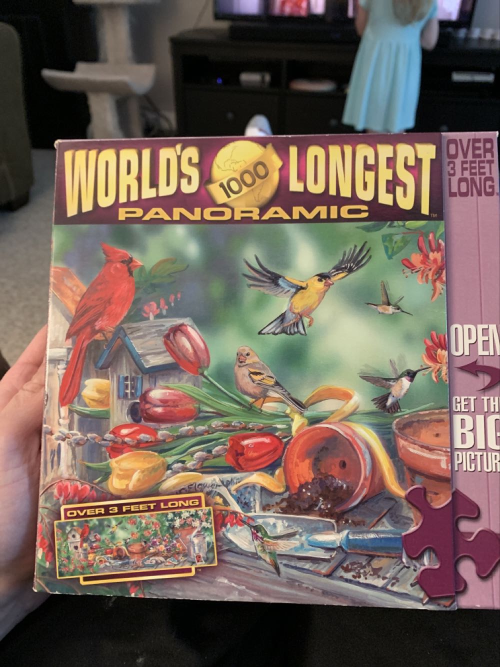 Disney Family Fun Collection 2 X Puzzles