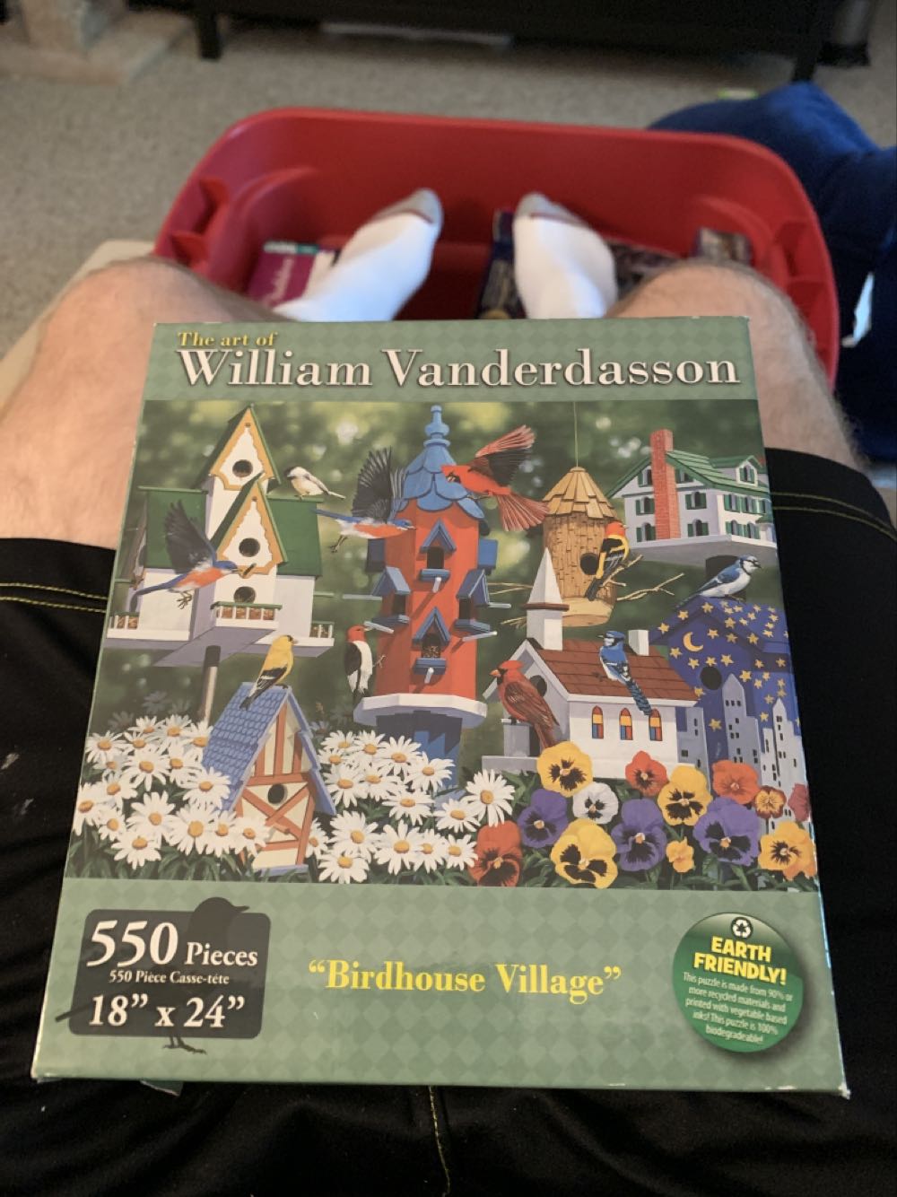 De Kermis Botsauto’s