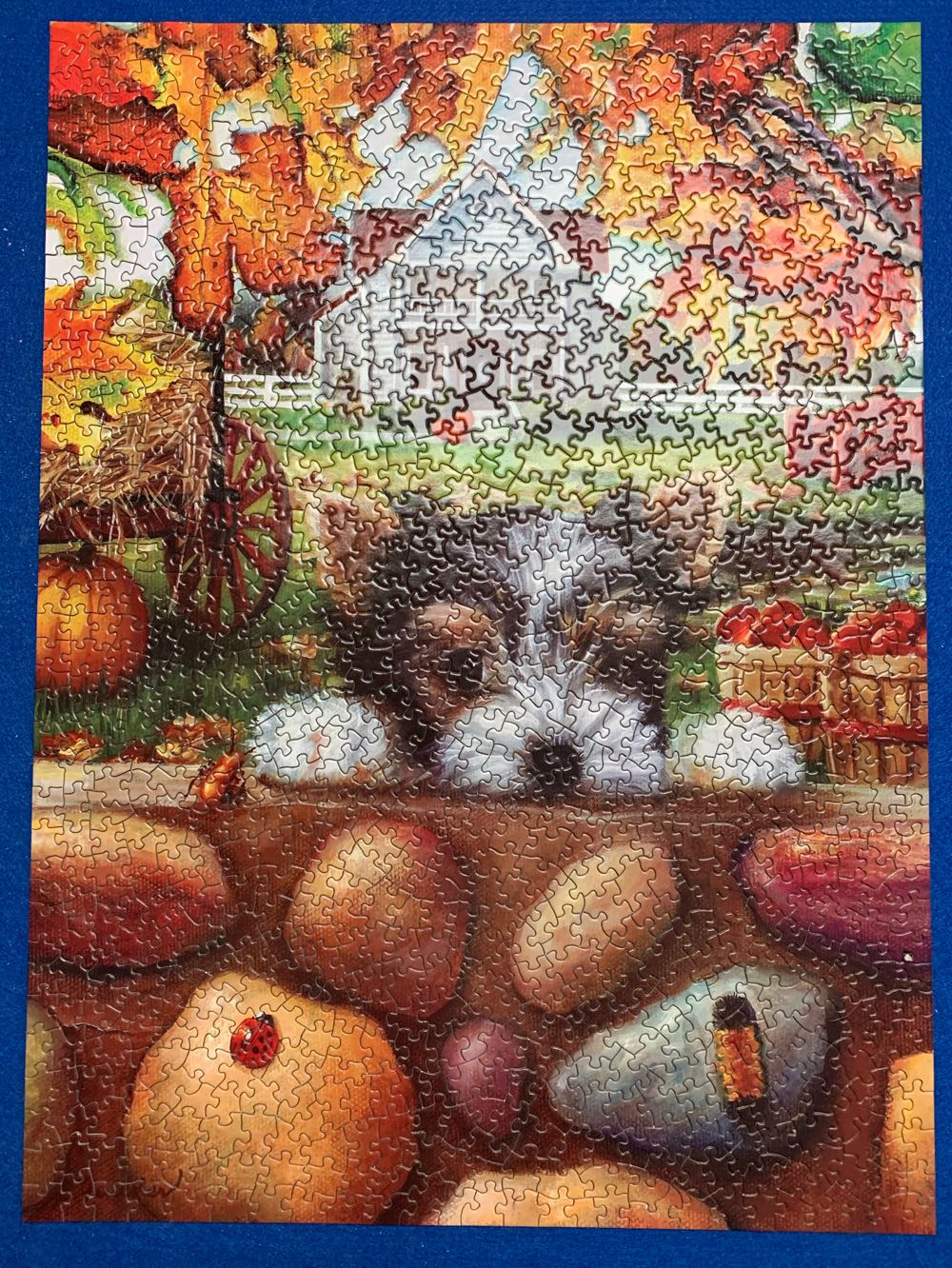 Tiger’s New Discoveries - Bits And Pieces puzzle collectible [Barcode 704812465971] - Main Image 2