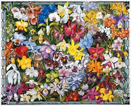 Orchids (UV) - White Mountain Puzzles puzzle collectible [Barcode 724819249091] - Main Image 2
