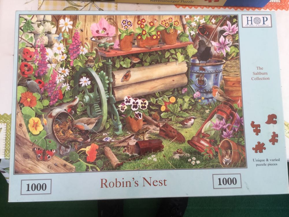 Wacky World - Gymnasium