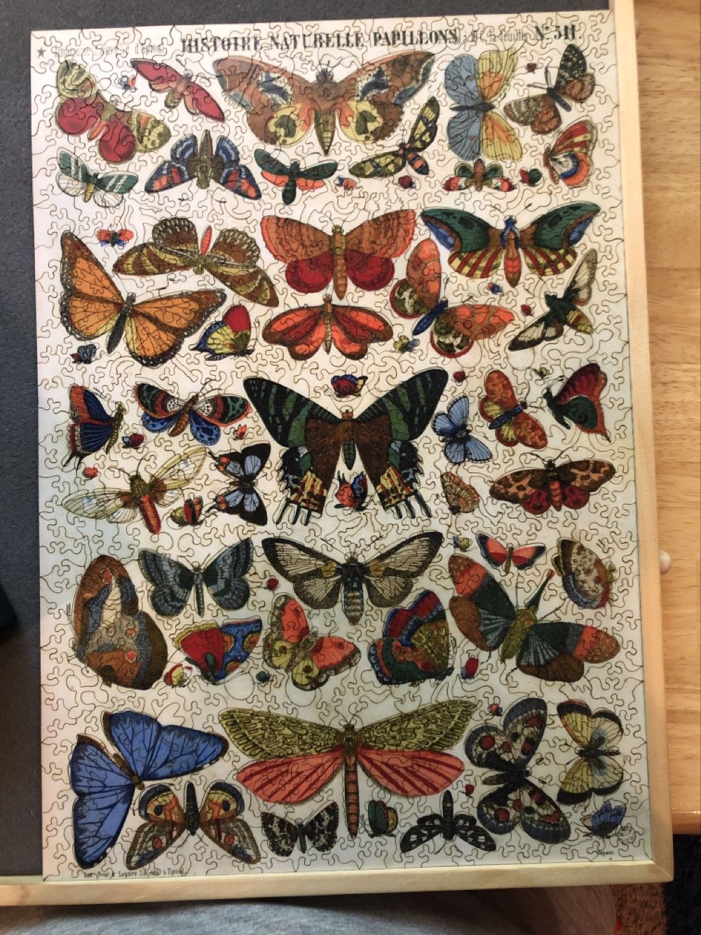 Histoire Naturelle (Papillons) - Liberty puzzles puzzle collectible - Main Image 2