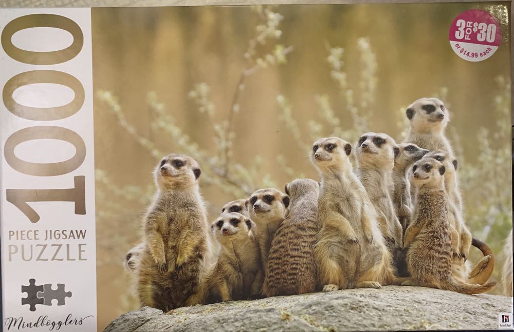 Aquarius: Hogwarts Castle