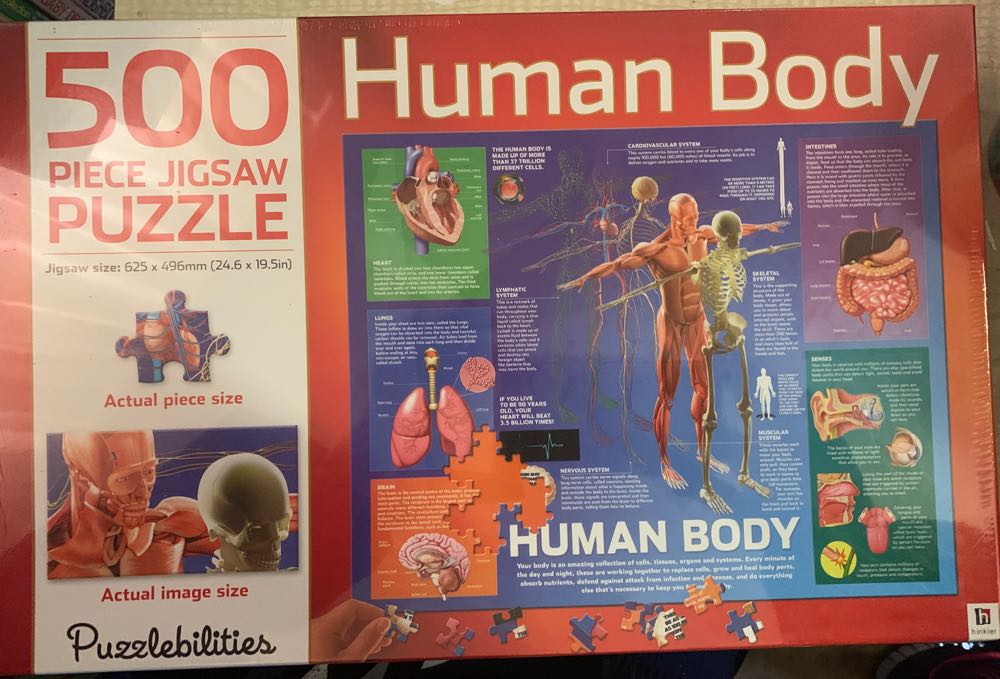 The Ultimate Alphabet: The Letter B