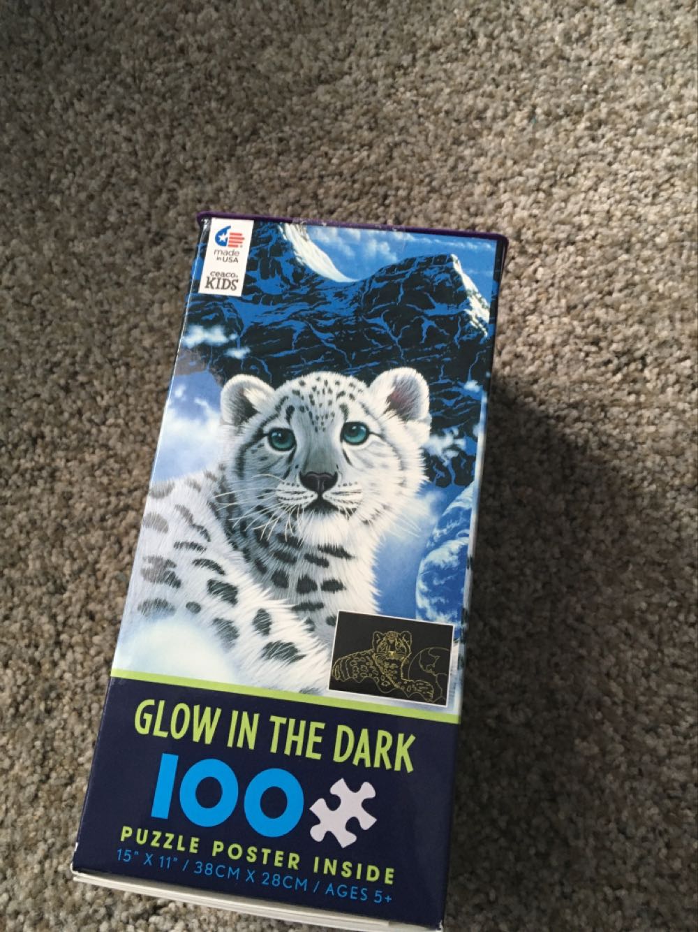 The Gym / De Sportschool 🟦