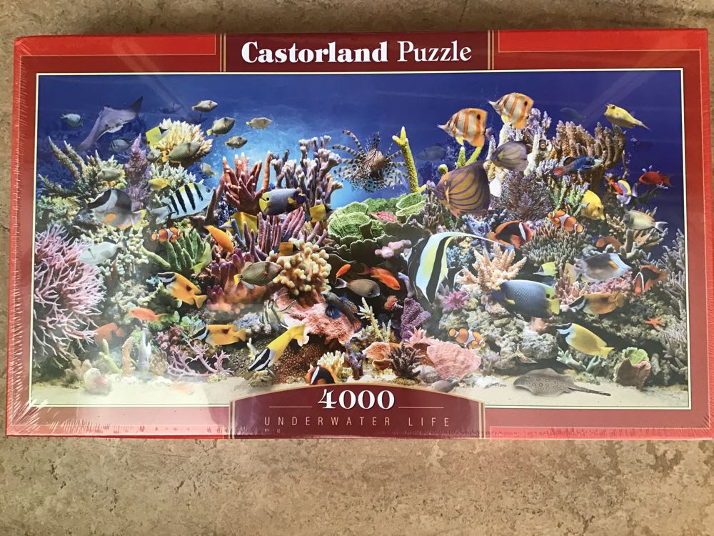 19071 De Bloemencorso