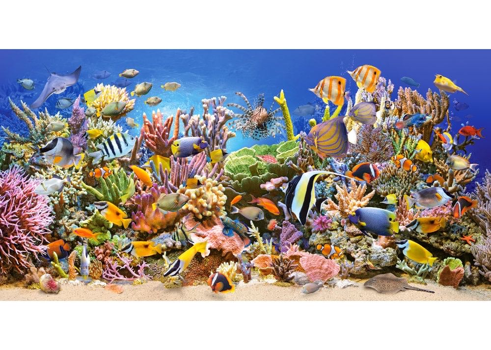Underwater Life - Castorland puzzle collectible [Barcode 5904438400089] - Main Image 2