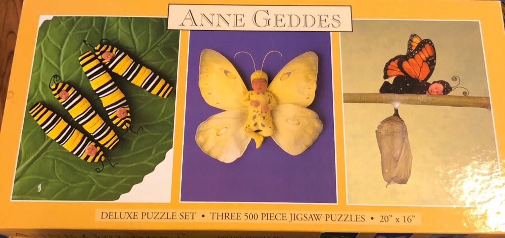 Life Is An Open Book: New York