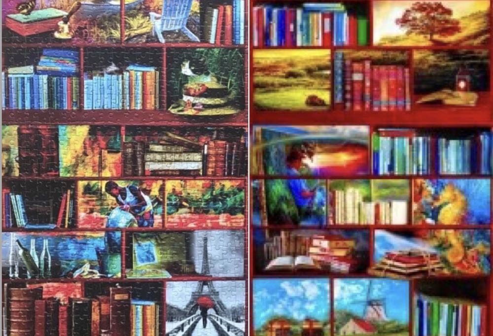 The Library The Travel Section  - Bluebird Puzzle puzzle collectible [Barcode 3663384702129] - Main Image 4