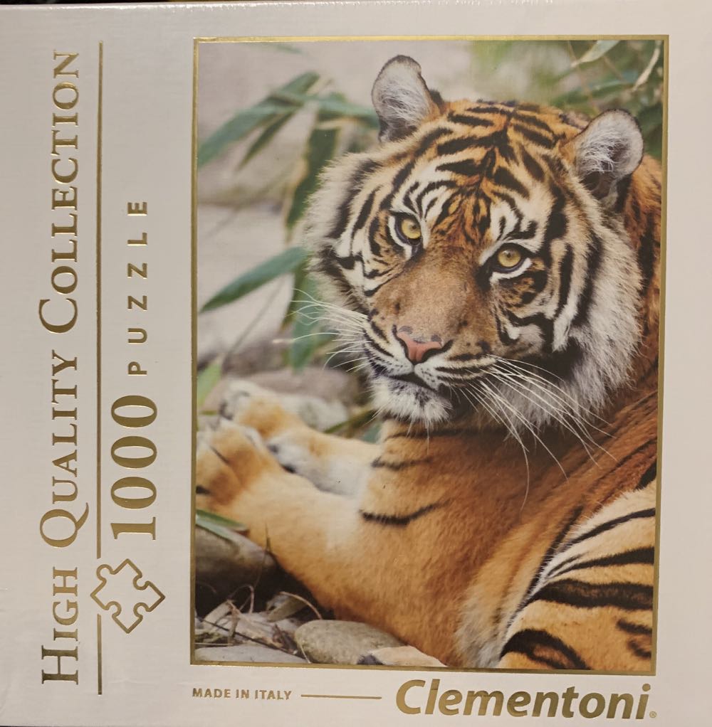 Truffle And Fudge With Christmas Lights And Snowman