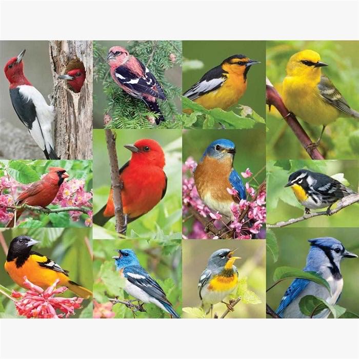 Birds Of A Feather - Springbok puzzle collectible [Barcode 091683360246] - Main Image 2