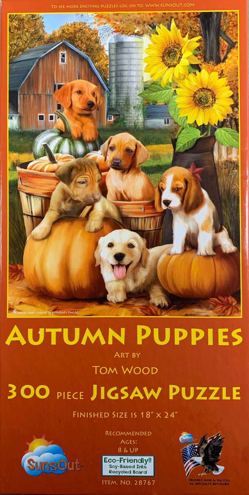 Football Player Mickey & Cheerleader Minnie