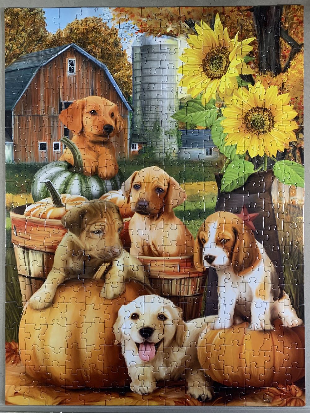 *Autumn Puppies - SunsOut puzzle collectible [Barcode 796780287679] - Main Image 3