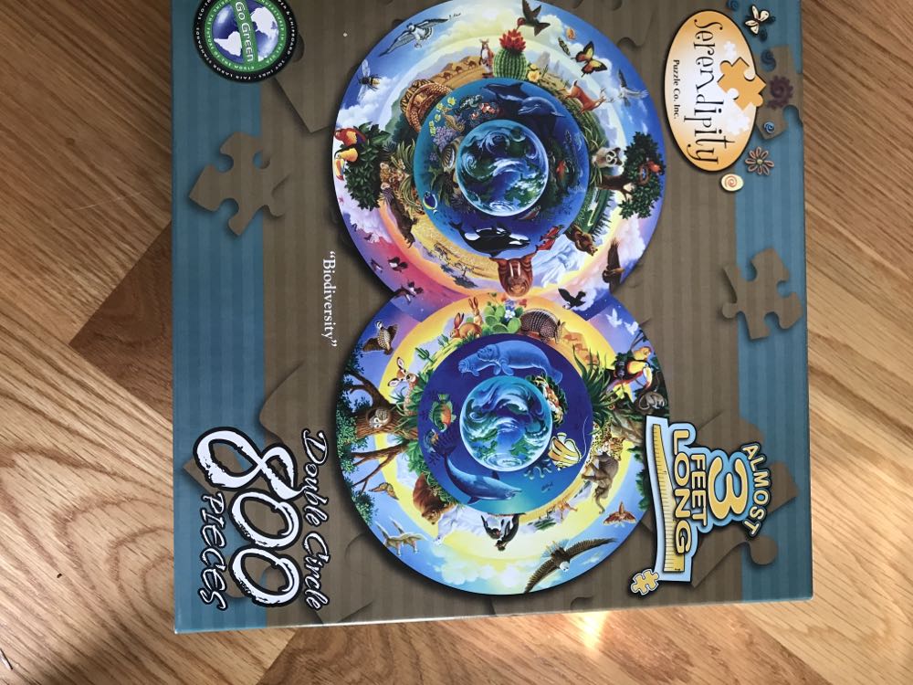 Wacky World - Gymnasium