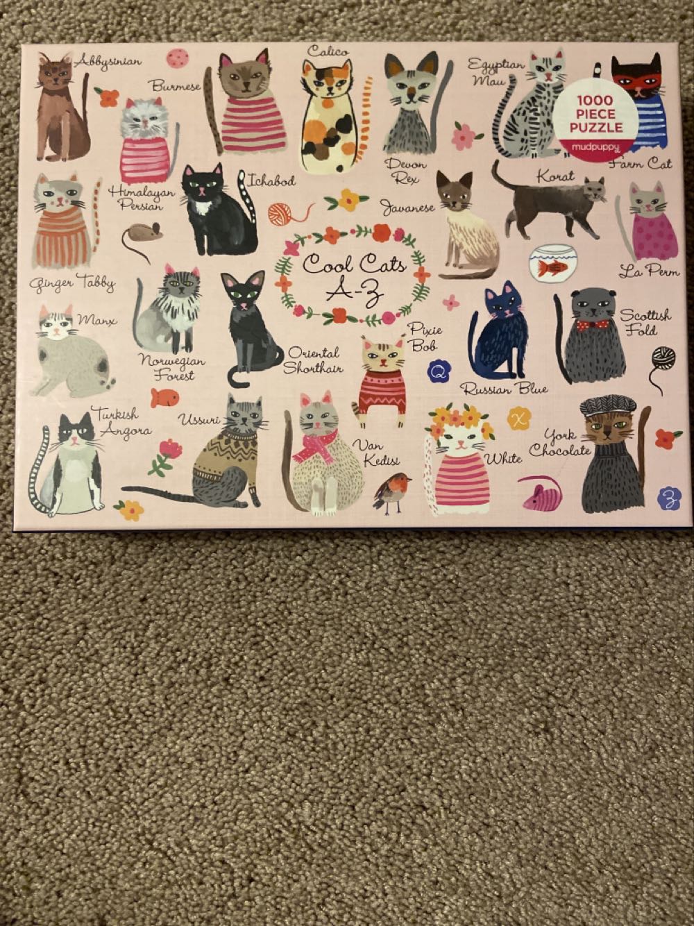 Mary Poppins, Practically Perfect