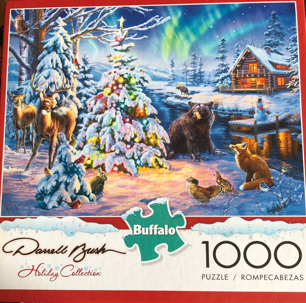 Treasure Hunt Bookshelf