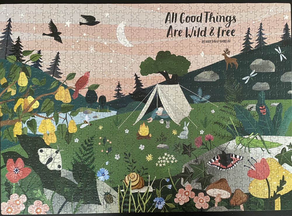All Good Things are Wild & Free - Flow Workman Puzzle puzzle collectible [Barcode 9781523509379] - Main Image 2