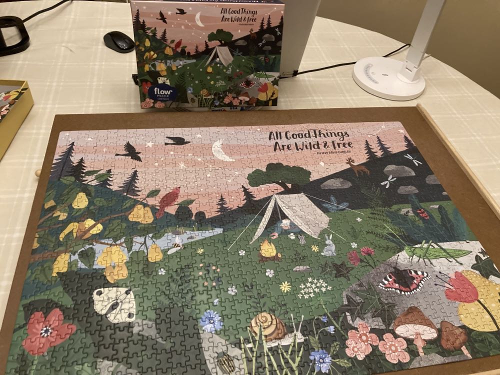 All Good Things are Wild & Free - Flow Workman Puzzle puzzle collectible [Barcode 9781523509379] - Main Image 3