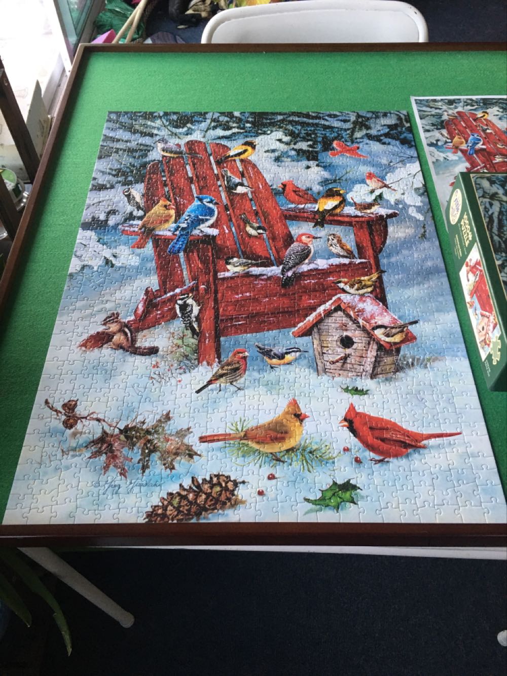 Adirondack Birds - Cobble Hill puzzle collectible [Barcode 625012800693] - Main Image 2