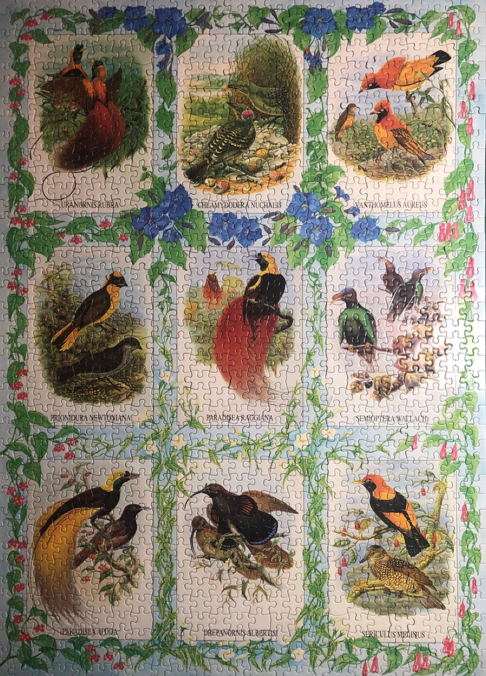 EV Sisters Of The Sea (📫Ella V €5,00) - Jumbo puzzle collectible [Barcode 8710126016749] - Main Image 3