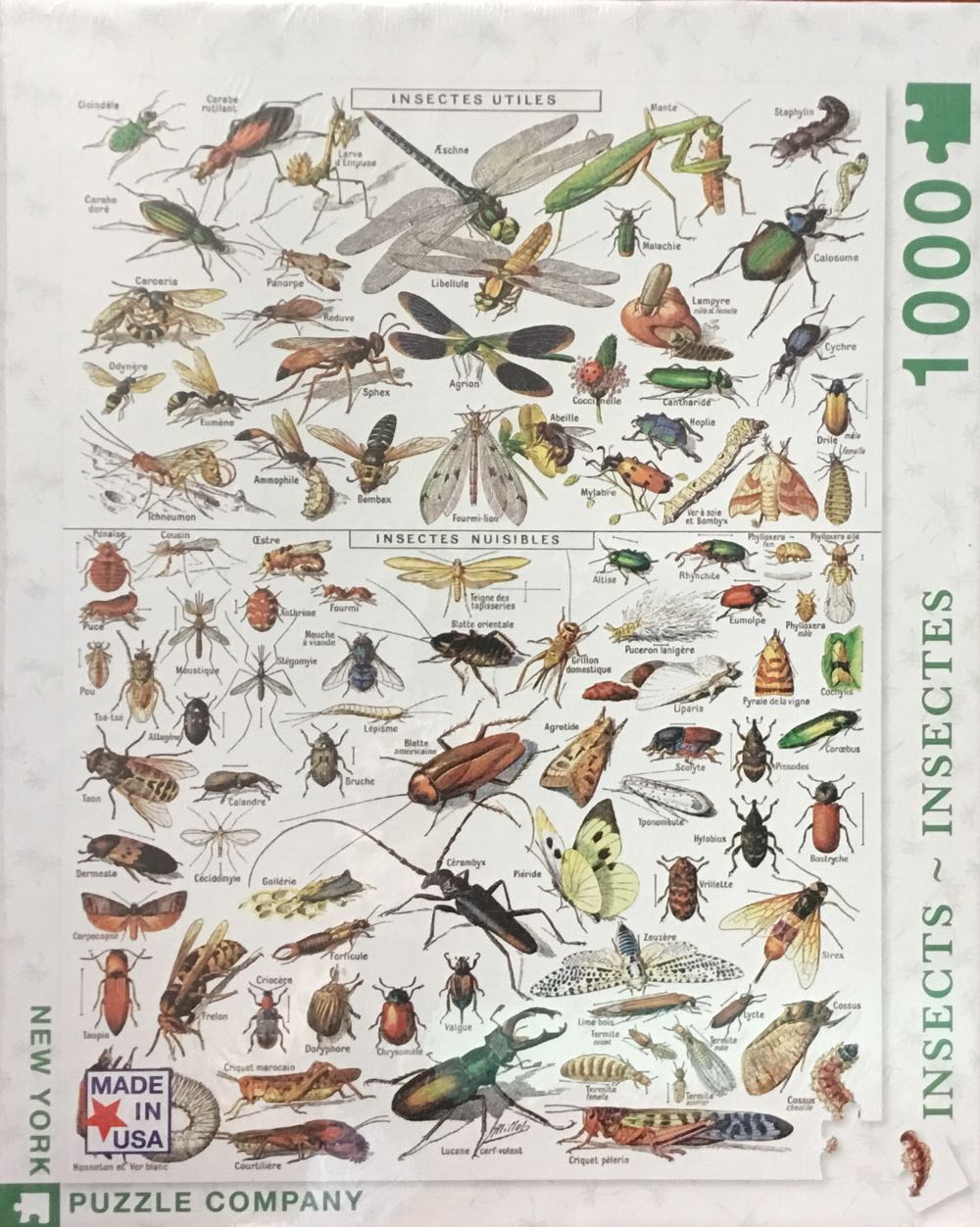 ‘71 Plymouth He I Cuda