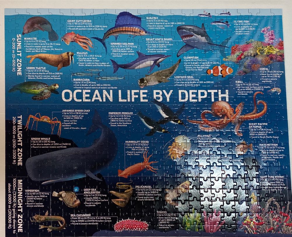 Ocean Life by Depth - Hinkler puzzle collectible [Barcode 9781488933714] - Main Image 2
