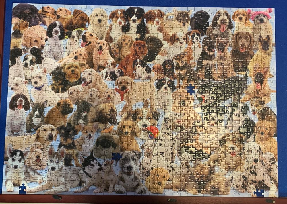Dogs Galore! - Ravensburger puzzle collectible [Barcode 4005556156337] - Main Image 2