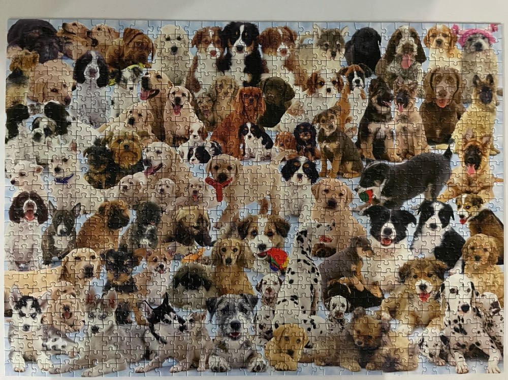 Dogs Galore! - Ravensburger puzzle collectible [Barcode 4005556156337] - Main Image 4
