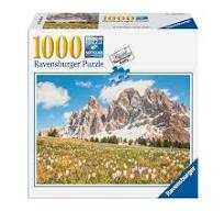 Bellamaestra Lady Of Pain