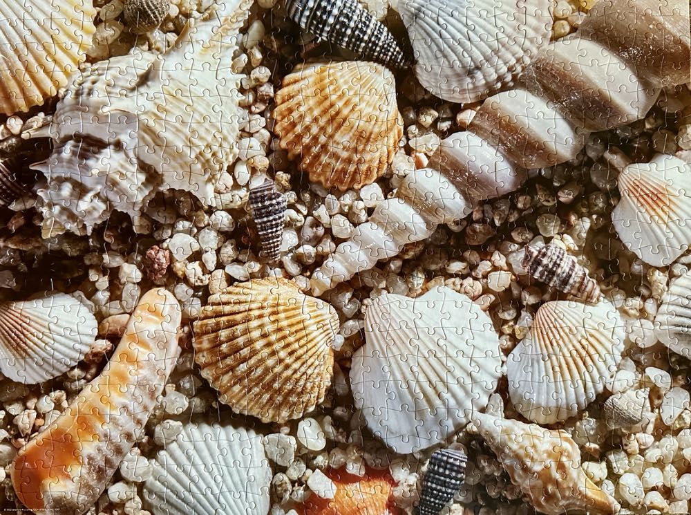 Sea Treasures - Jigsaw Puzzle Factory puzzle collectible - Main Image 2