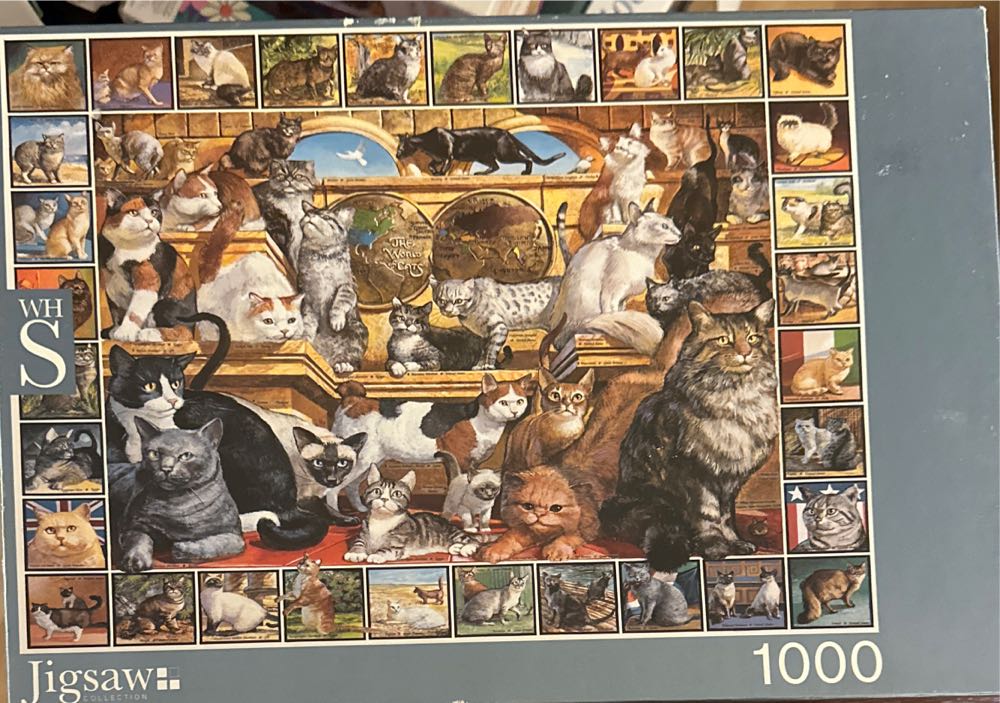 Drie Kleine Biggetjes 🟦