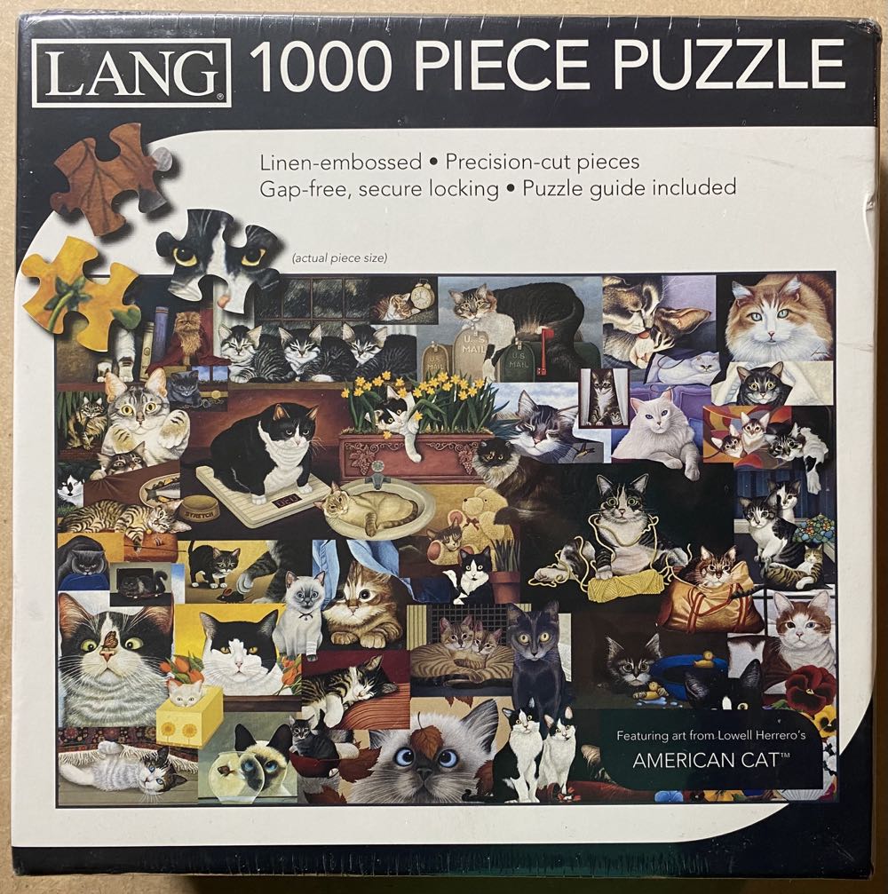 Local Heroes-TRASHED-missing 1