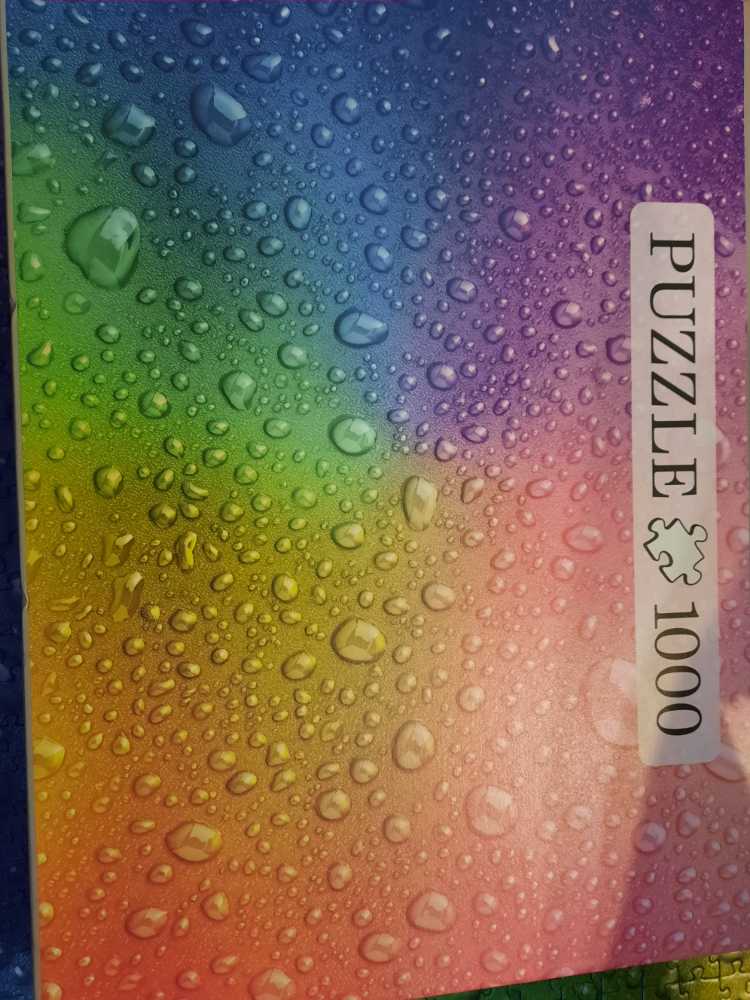 Equestrian Spring Horse