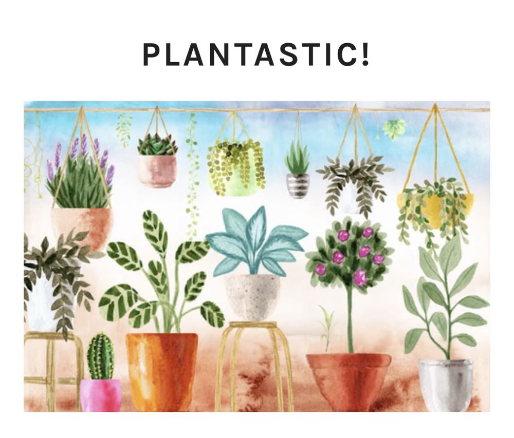 The Cider House Rules Vhs