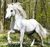 3d Bepuzzled Crystal