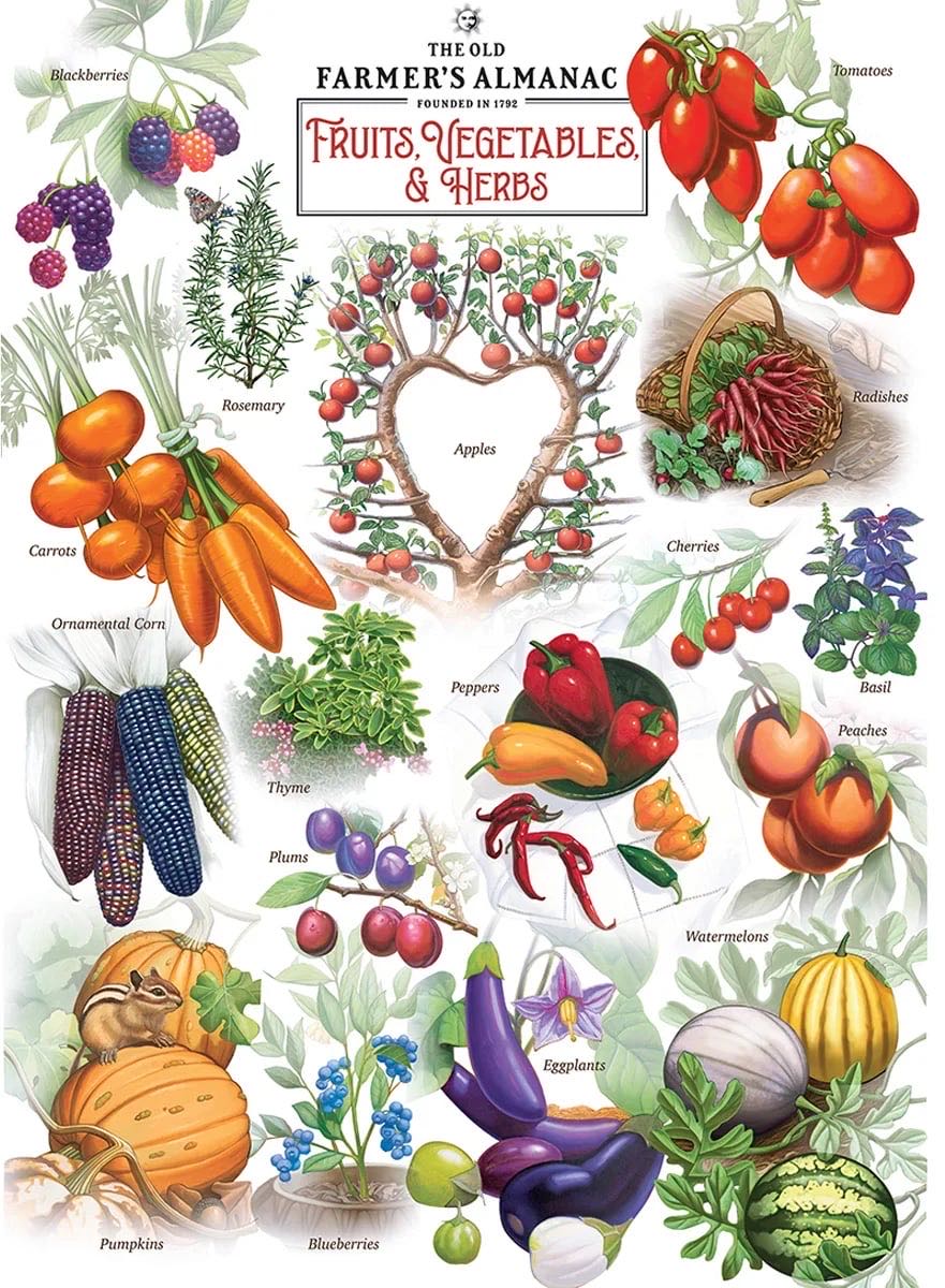 The Old Farmer’s Almanac: Fruits Vegetables & Herbs - MasterPieces puzzle collectible [Barcode 705988721960] - Main Image 2