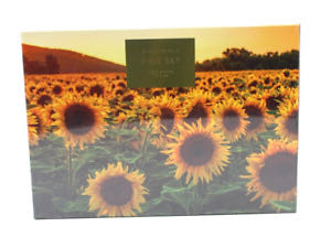 Indiana University Basketball