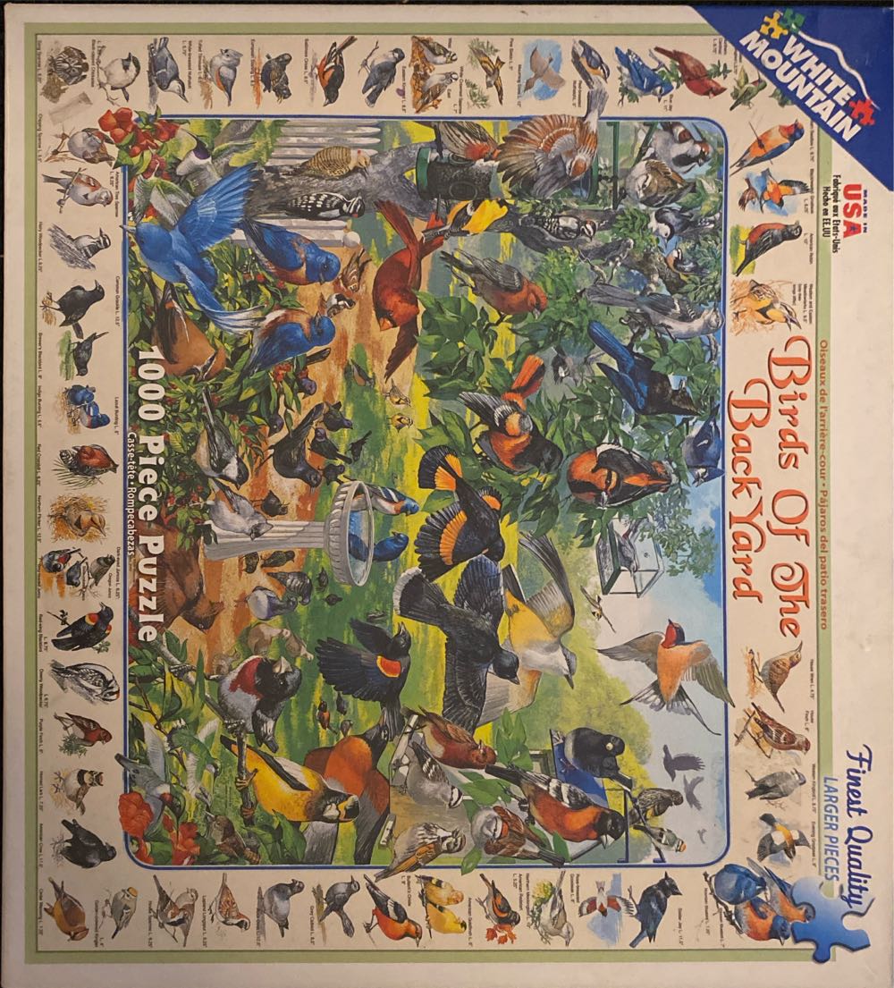 The Curse Of Dragonfly