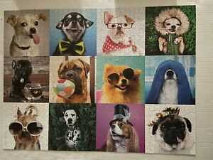 Disney Classics: Peter Pan