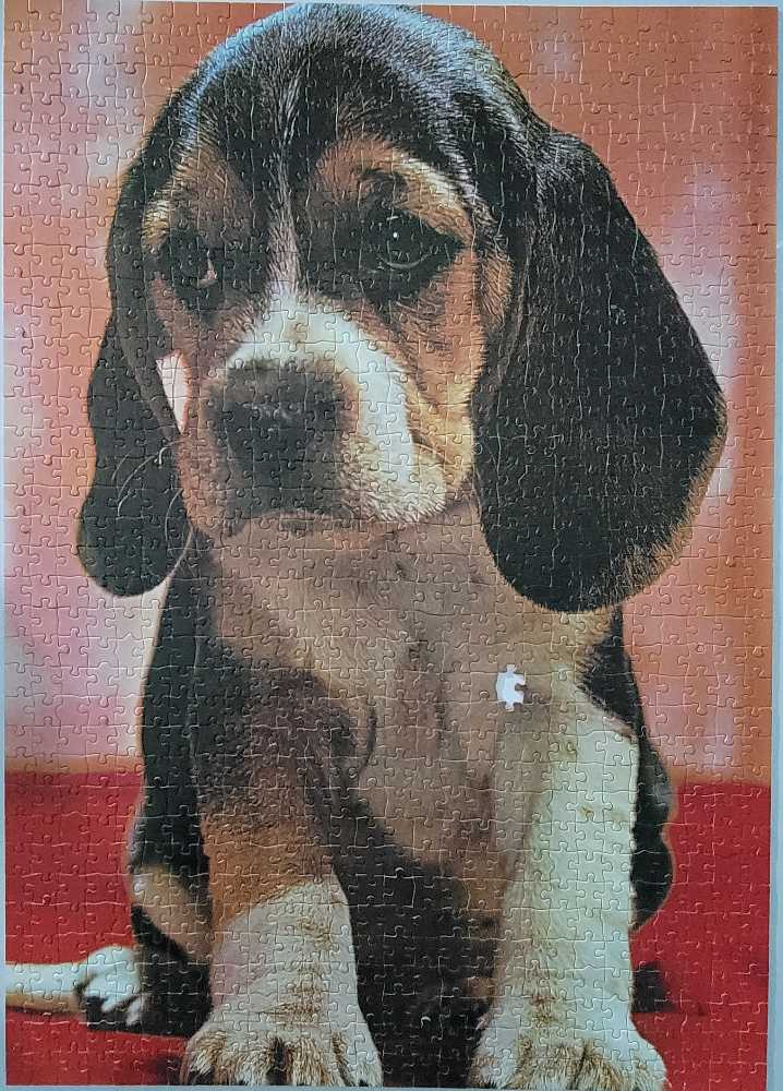 Basset Hound Puppy - Scandecor puzzle collectible - Main Image 3