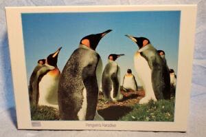 Schim Schimmel Only One Home