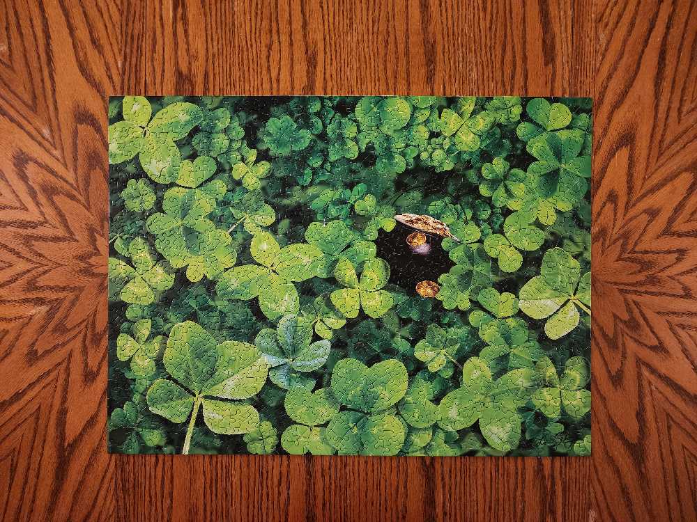Shamrock Challenge - SunsOut 🇺🇸 puzzle collectible [Barcode 796780352063] - Main Image 2