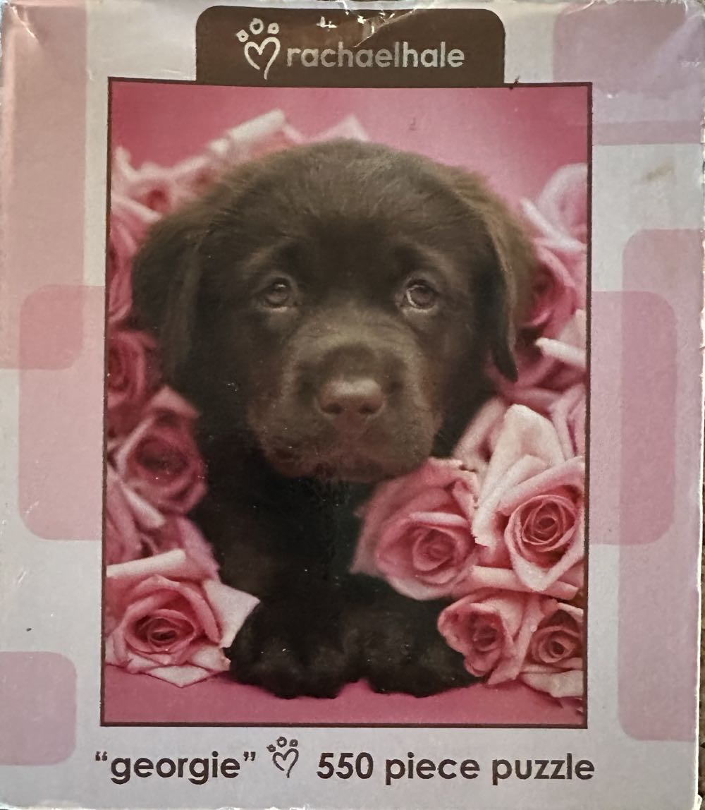 Masterpieces Piece Sports Jigsaw Puzzle Ncaa Purdue Boilermakers Center View Panoramic 13”x39”