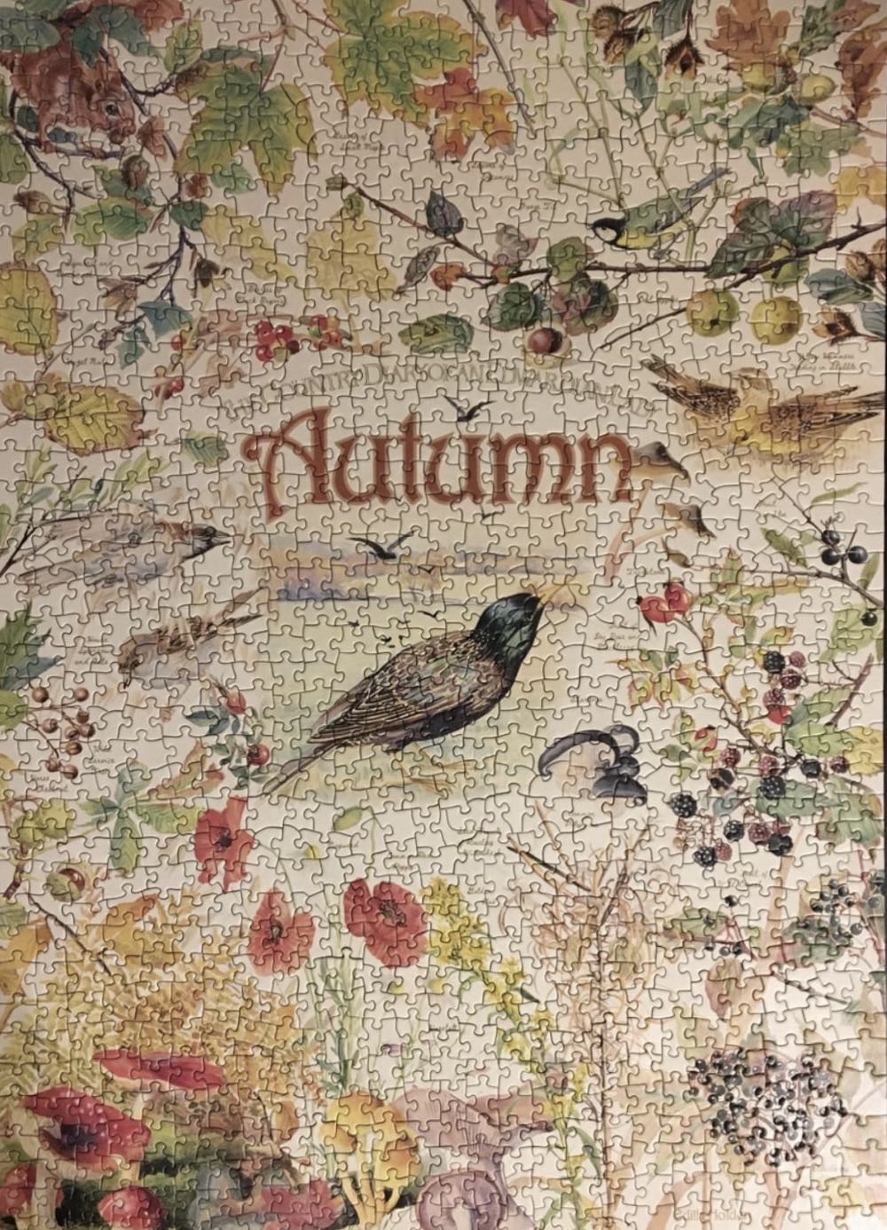 Country Diary: Autumn - Cobble Hill Puzzle Company puzzle collectible [Barcode 625012400947] - Main Image 3