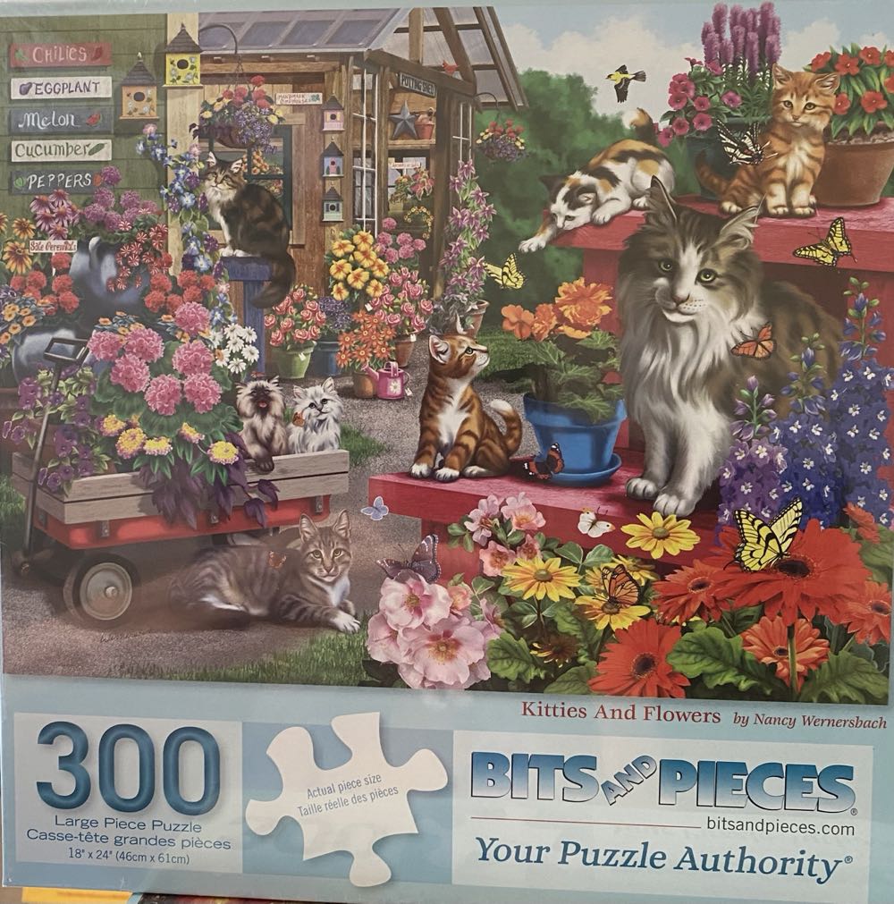 Winnie The Pooh Bookshelf