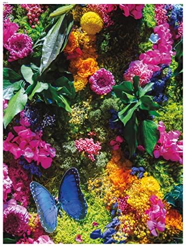 The Alps Austria Castorland Lake In The Alps Austria Tei Austria Pcs Castor Jigsaw Alpes Lac El.