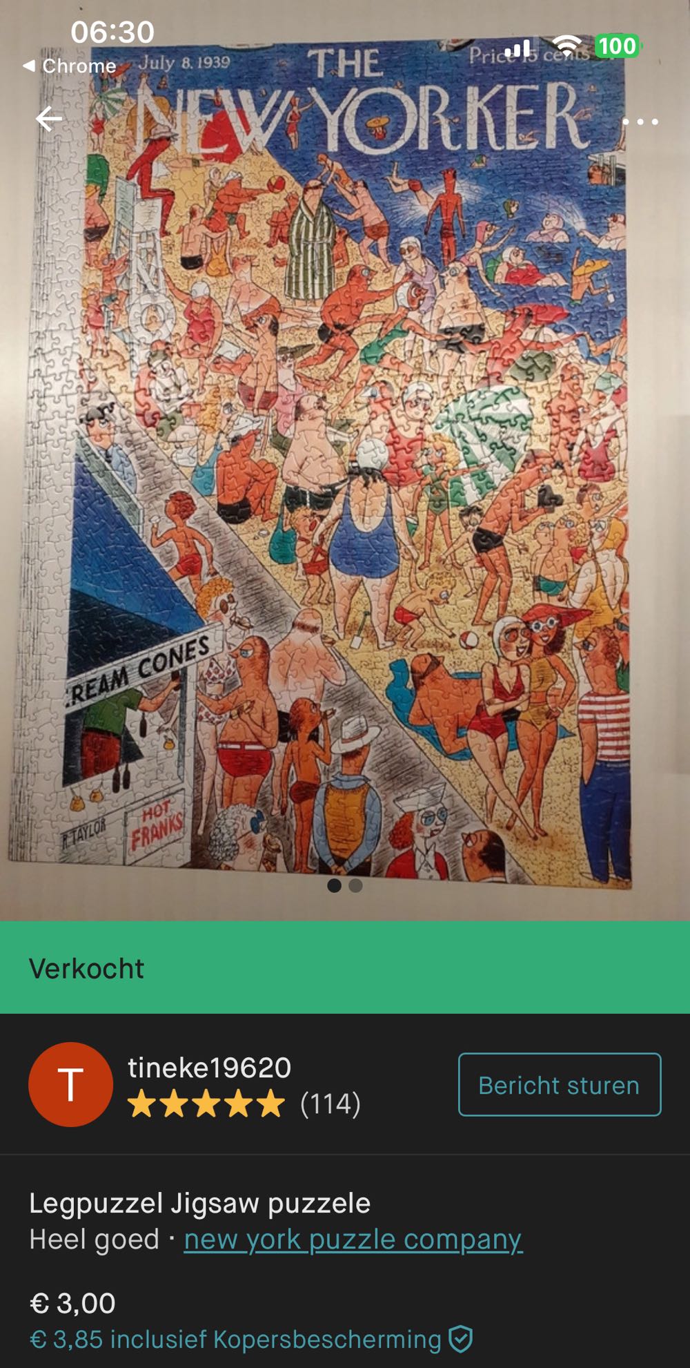 Beachgoing - New York Puzzle Company puzzle collectible [Barcode 0851996002314] - Main Image 4