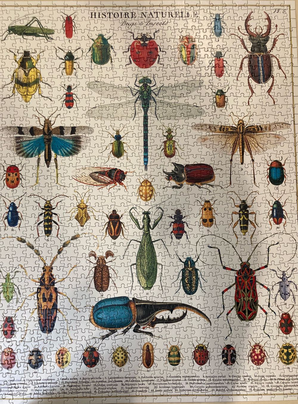 Puzzle 3in1 3x1000 Manhattan Bridge Eiffeltower Big ...