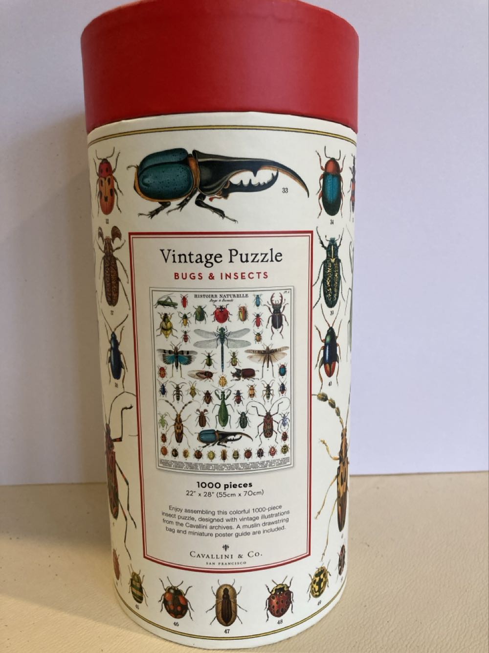 Bugs & Insects - Cavallini & Co puzzle collectible - Main Image 2