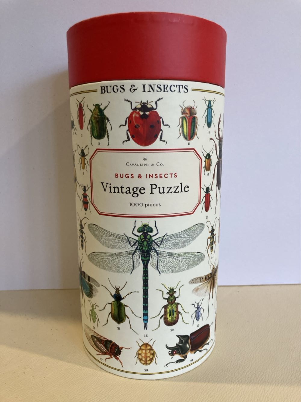 Bugs & Insects - Cavallini & Co puzzle collectible - Main Image 3